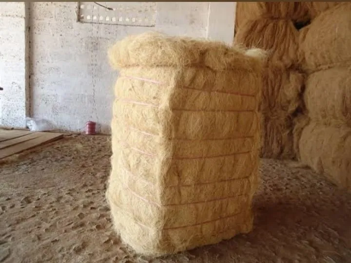 Baby Fiber High EC